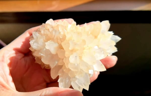 Complete underside view of the exact Ivory Crystallized Stone Flower Cluster from Yunnan