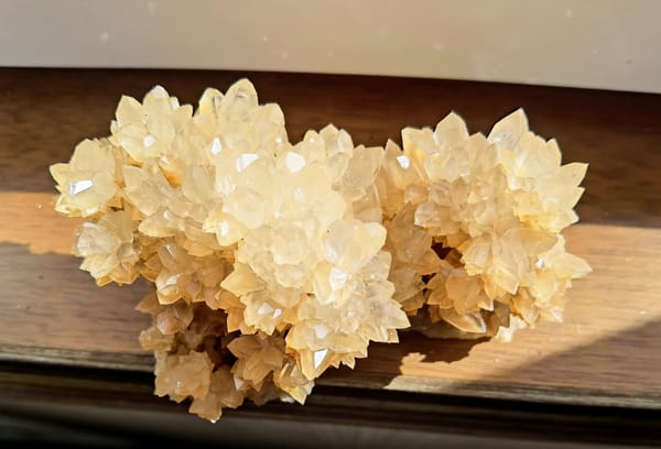 Complete upper view of the same crystallized cluster with warm honey-toned points
