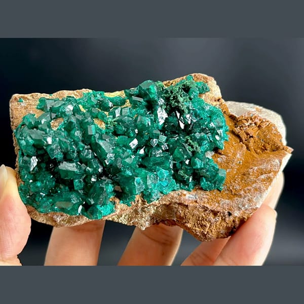 Emerald-green dioptase crystals on matrix from Congo — complete view