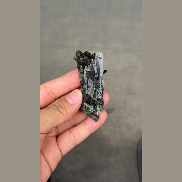 Long dark lustrous epidote crystals with white zeolite — complete view