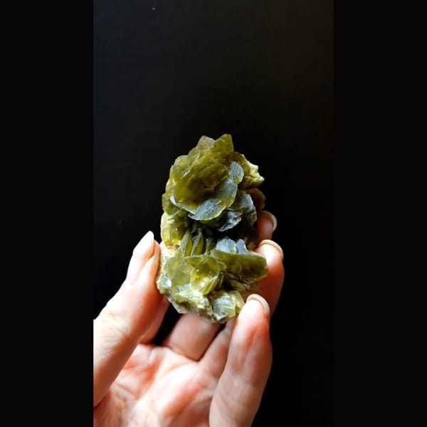 Olive green bladed siderite flower cluster — complete view