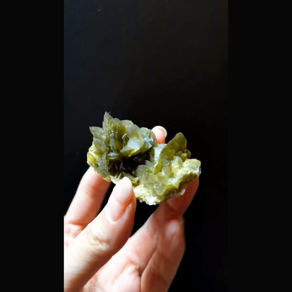 Olive green bladed siderite flower cluster — alternate view