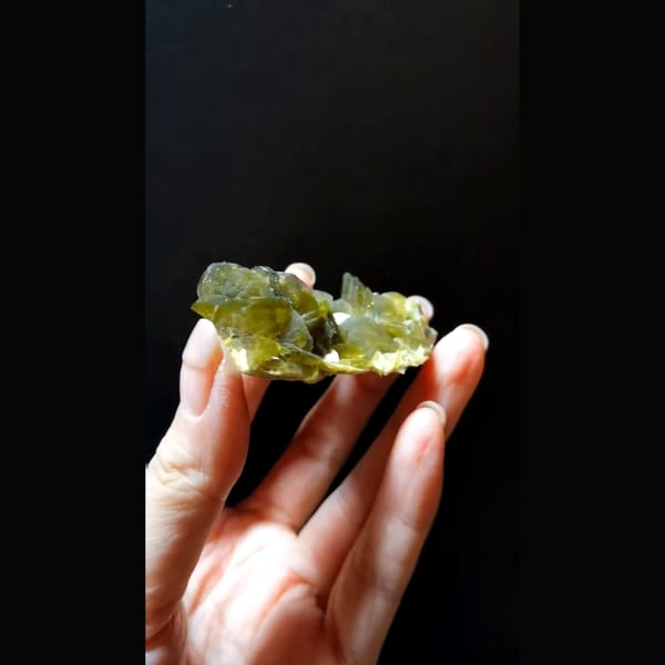 Olive green bladed siderite flower cluster — alternate view