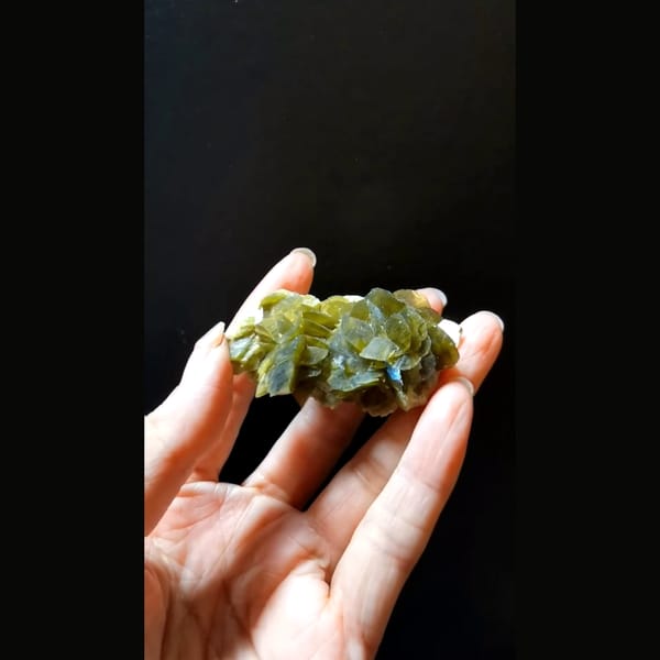 Olive green bladed siderite flower cluster — detail view