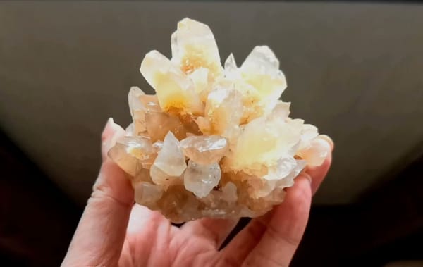 Complete front view of Recrystallized Mineral Flower from Yunnan