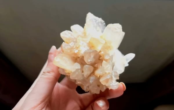 Complete side view of the exact Recrystallized Mineral Flower from Yunnan
