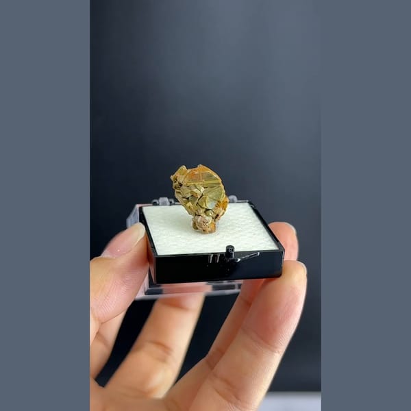 Kesterite with green mushistonite panda ore from Xuebaoding in a box — detail view