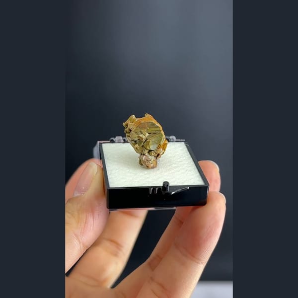 Kesterite with green mushistonite panda ore from Xuebaoding in a box — detail view