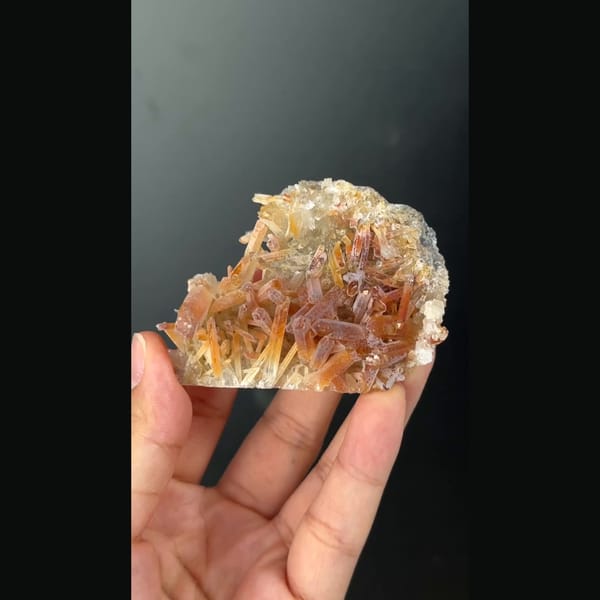 Fan-shaped golden-brown citrine quartz cluster from Jinkouhe, Sichuan — complete view