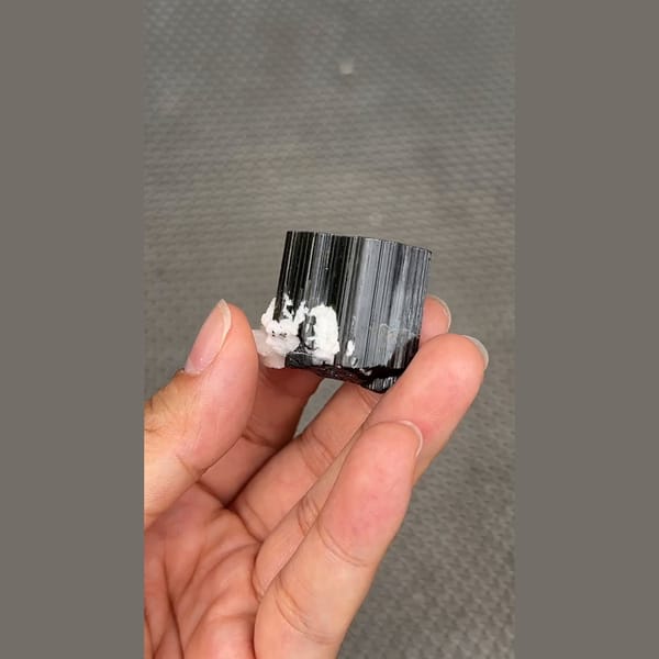 Glossy black tourmaline crystal with white cleavelandite from Pakistan — complete view