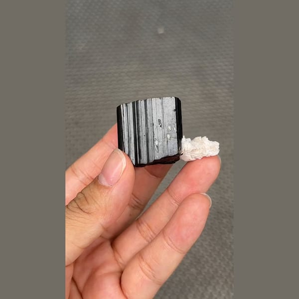 Glossy black tourmaline crystal with white cleavelandite from Pakistan — alternate view
