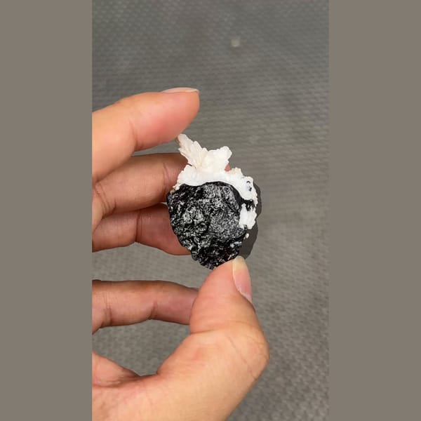 Glossy black tourmaline crystal with white cleavelandite from Pakistan — alternate view