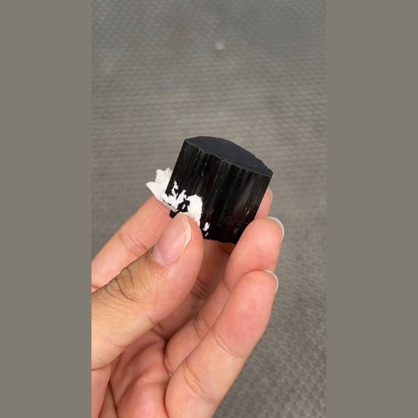 Glossy black tourmaline crystal with white cleavelandite from Pakistan — detail view