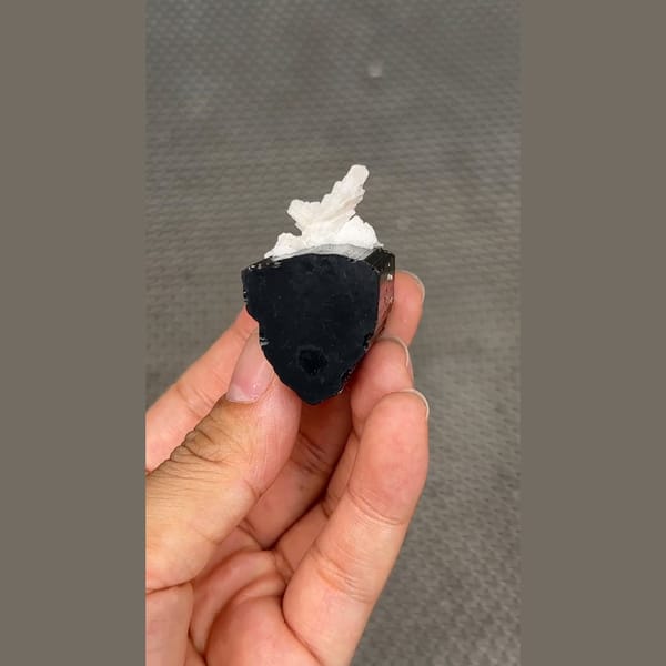 Glossy black tourmaline crystal with white cleavelandite from Pakistan — detail view
