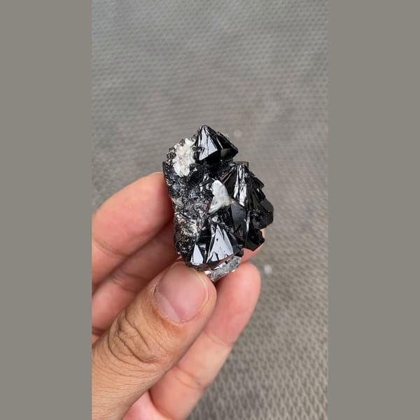 Branching cluster of lustrous black cassiterite from Xuebaoding, Sichuan — complete view