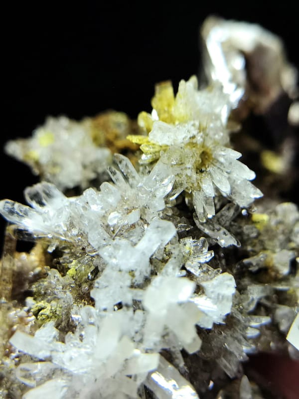 White Gypsum Flower Cluster — Guizhou — individual mineral specimen view 2