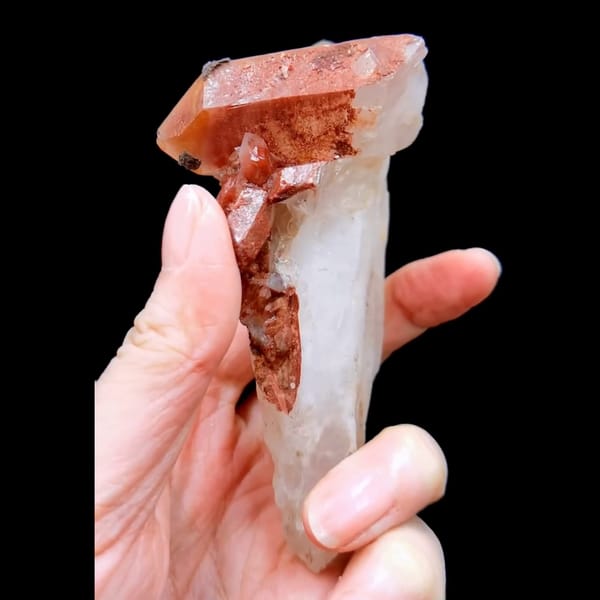 Red scepter phantom quartz from South Africa — complete view
