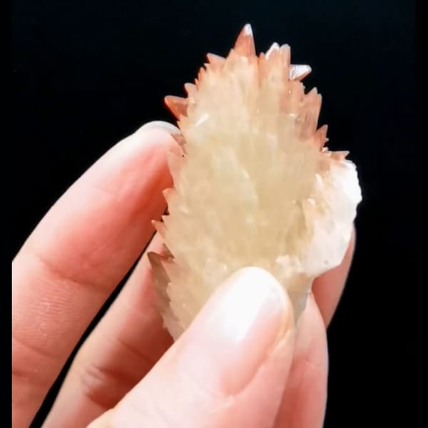 Bicolor dogtooth calcite from Daye Hubei — detail view