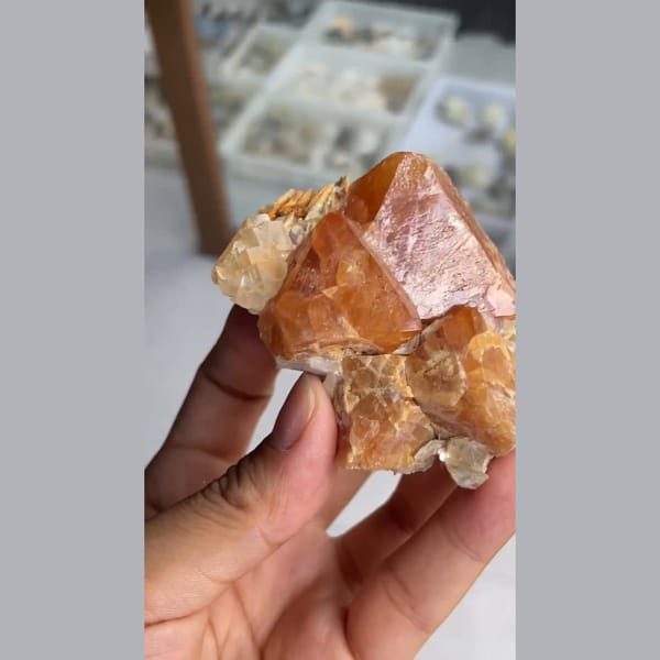 Chunky orange scheelite crystal on matrix from Xuebaoding, Sichuan — detail view