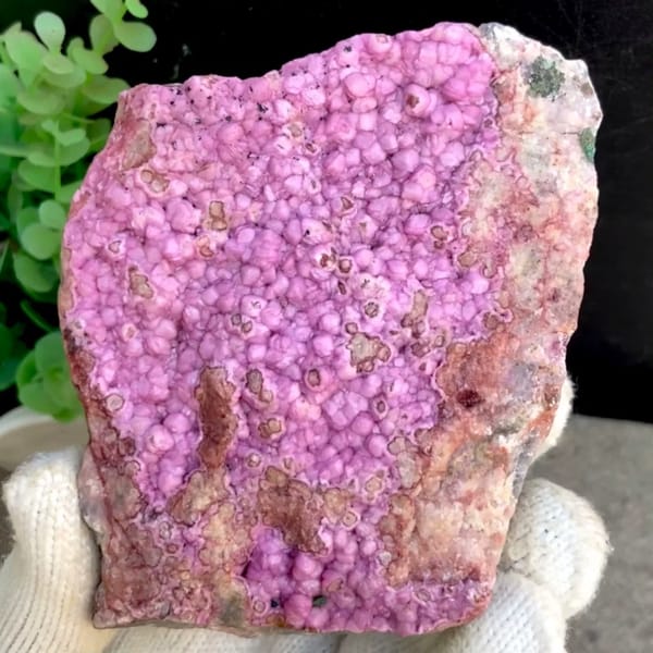Vivid hot pink cobaltoan calcite plate — complete view