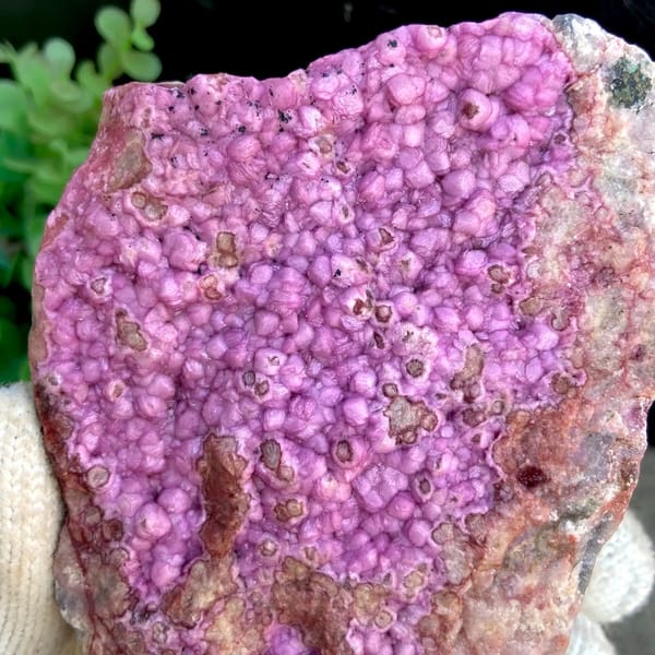 Vivid hot pink cobaltoan calcite plate — alternate view