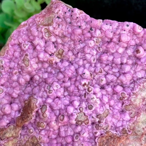 Vivid hot pink cobaltoan calcite plate — alternate view