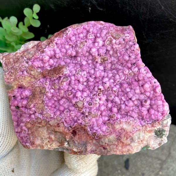 Vivid hot pink cobaltoan calcite plate — detail view