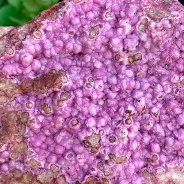 Vivid hot pink cobaltoan calcite plate — detail view