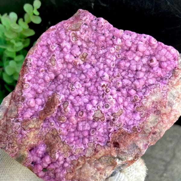 Vivid hot pink cobaltoan calcite plate — detail view