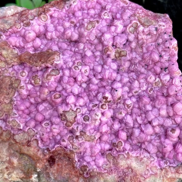 Vivid hot pink cobaltoan calcite plate — detail view
