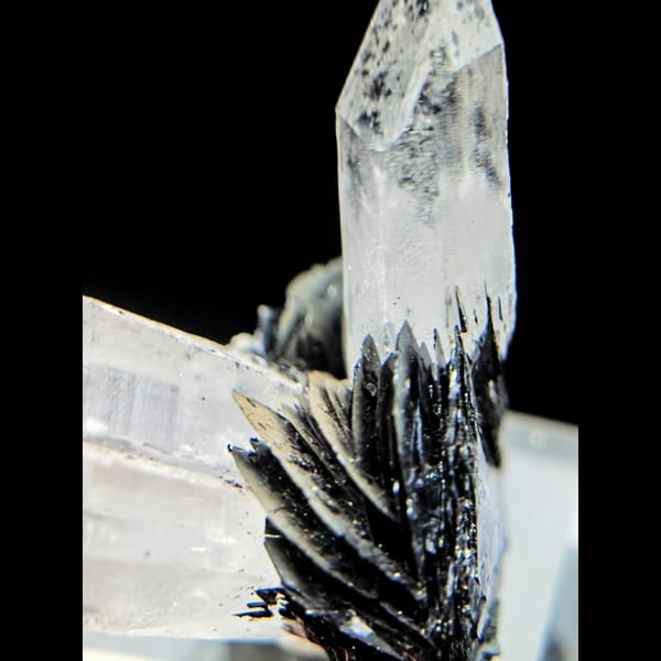 Clear quartz points with black bladed specular hematite from Guangdong — alternate view
