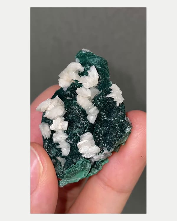 Complete upright side view of Palabanda cerussite and malachite