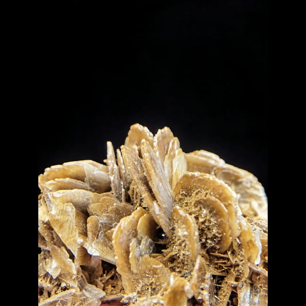 Tan bladed barite rosette cluster from Morocco — complete view