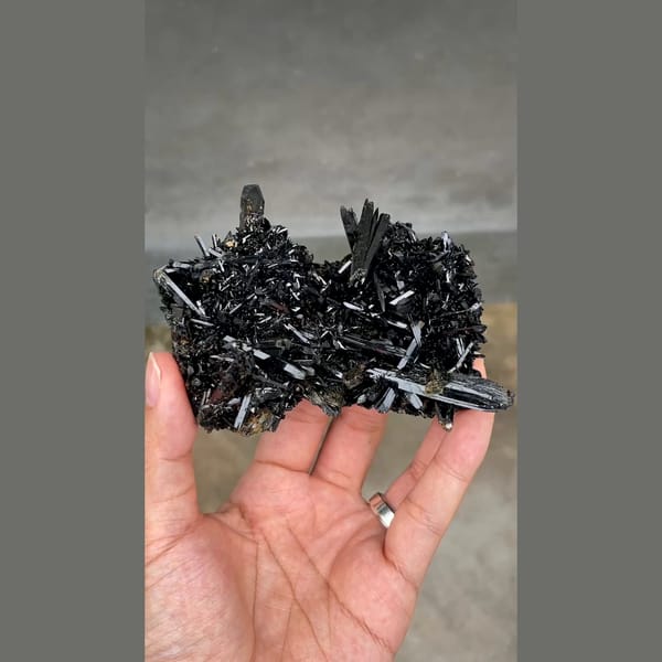 Dense spray of lustrous black aegirine crystals from Mt. Malosa, Malawi — complete view