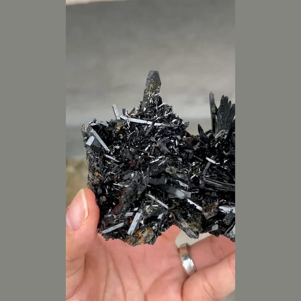 Dense spray of lustrous black aegirine crystals from Mt. Malosa, Malawi — alternate view