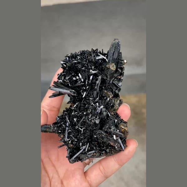 Dense spray of lustrous black aegirine crystals from Mt. Malosa, Malawi — alternate view