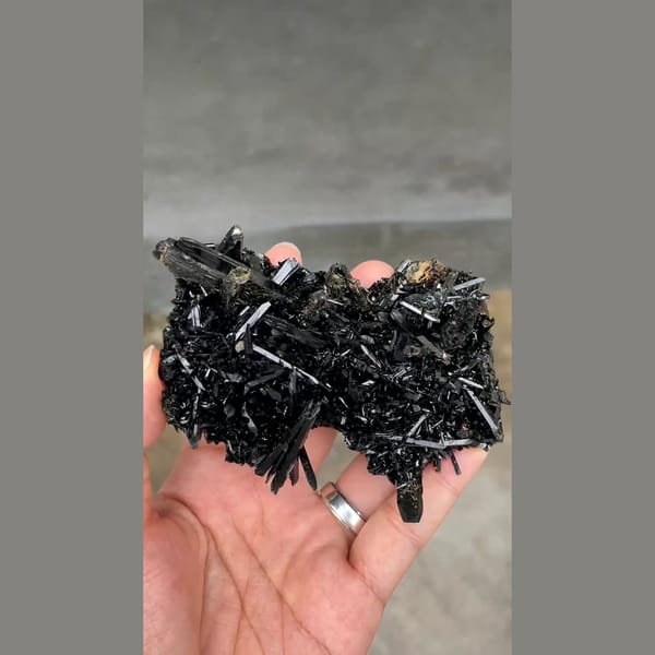 Dense spray of lustrous black aegirine crystals from Mt. Malosa, Malawi — detail view