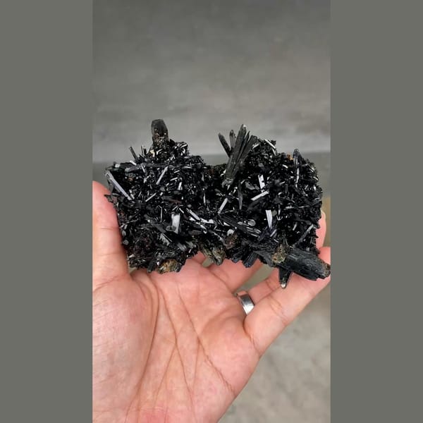 Dense spray of lustrous black aegirine crystals from Mt. Malosa, Malawi — detail view