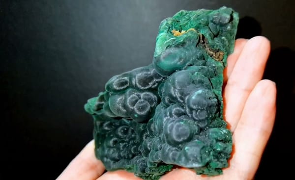 Complete underside view of the exact Botryoidal Chatoyant Malachite from Congo