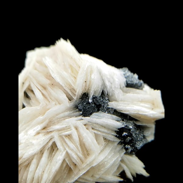 Pale pink bladed barite with cerussite from Morocco — complete view