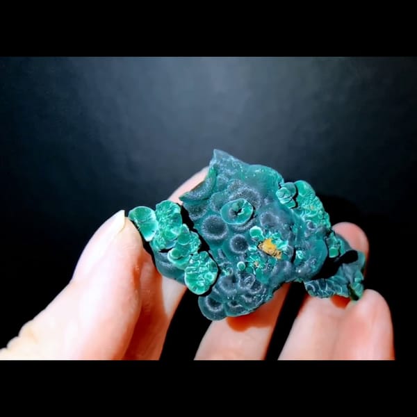 Cats-eye malachite from the Congo — alternate view