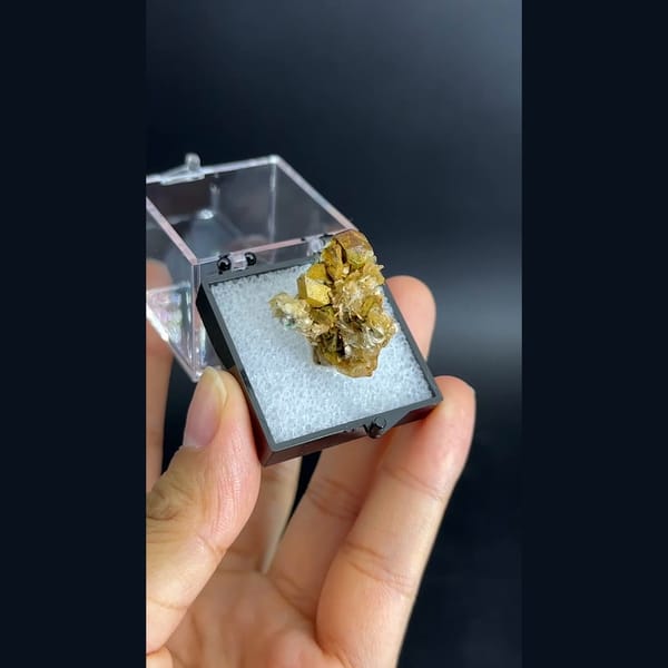 Kesterite with mushistonite and mica panda ore from Xuebaoding in a box — complete view