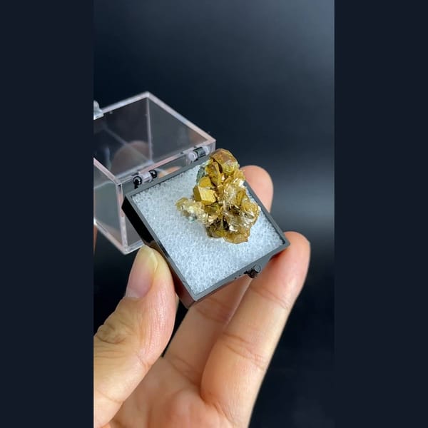 Kesterite with mushistonite and mica panda ore from Xuebaoding in a box — alternate view