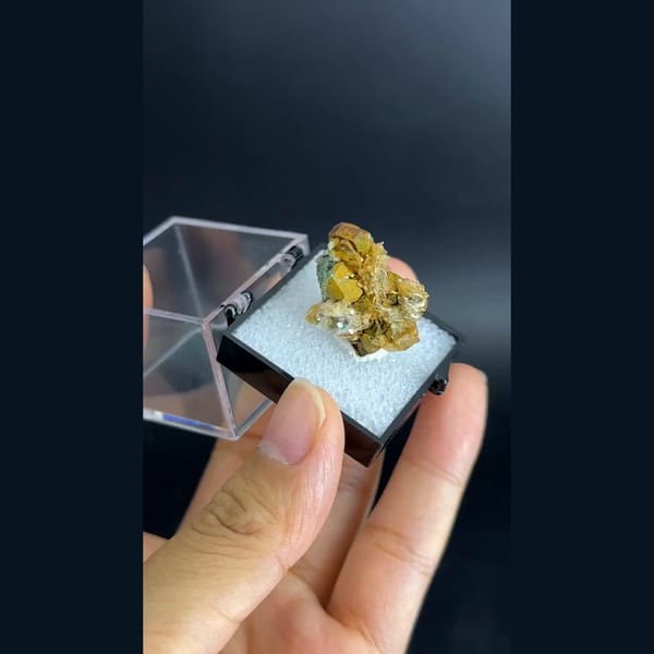 Kesterite with mushistonite and mica panda ore from Xuebaoding in a box — alternate view
