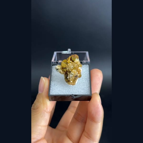 Kesterite with mushistonite and mica panda ore from Xuebaoding in a box — detail view