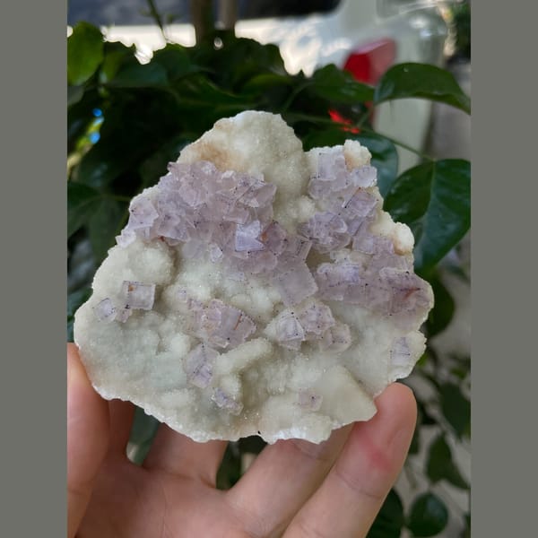 Lavender fluorite on white matrix plate from Guizhou — complete view