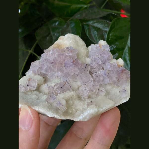 Lavender fluorite on white matrix plate from Guizhou — detail view