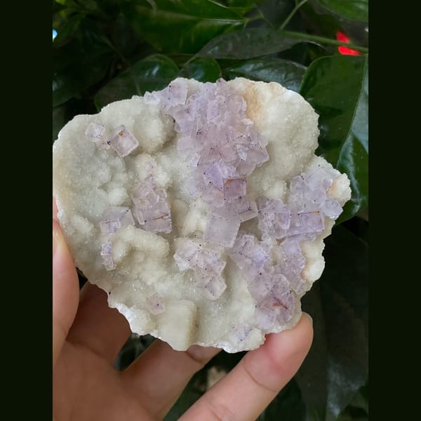 Lavender fluorite on white matrix plate from Guizhou — detail view