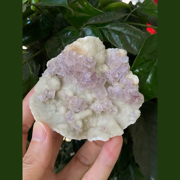 Lavender fluorite on white matrix plate from Guizhou — detail view