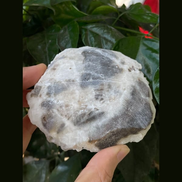 Lavender fluorite on white matrix plate from Guizhou — detail view